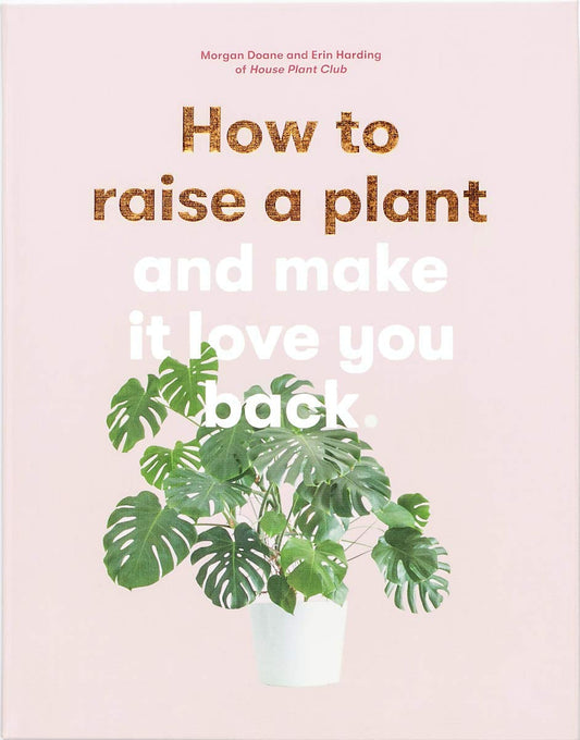 How to Raise a Plant by Morgan Doane and Erin Harding