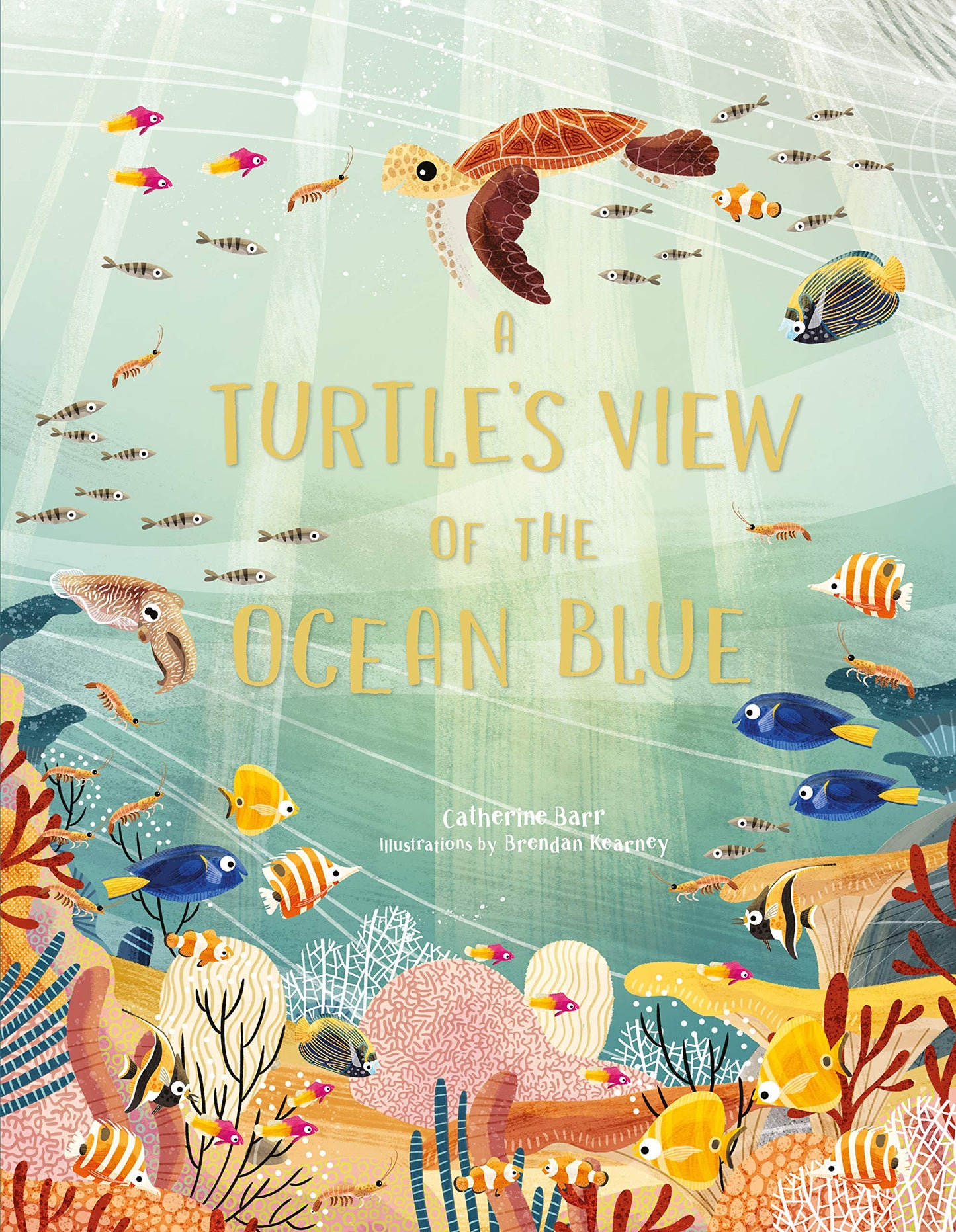 A Turtle’s View of the Ocean Blue by Catherine Barr and Brendan Kearney