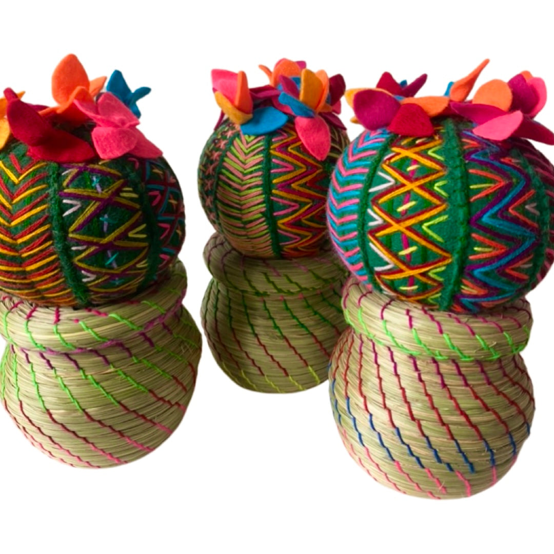 Cactus Basket Handmade Small